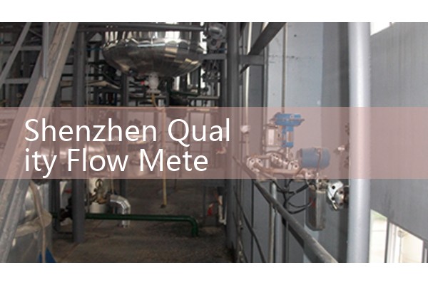 Shenzhen Quality Flow Meter Ranking